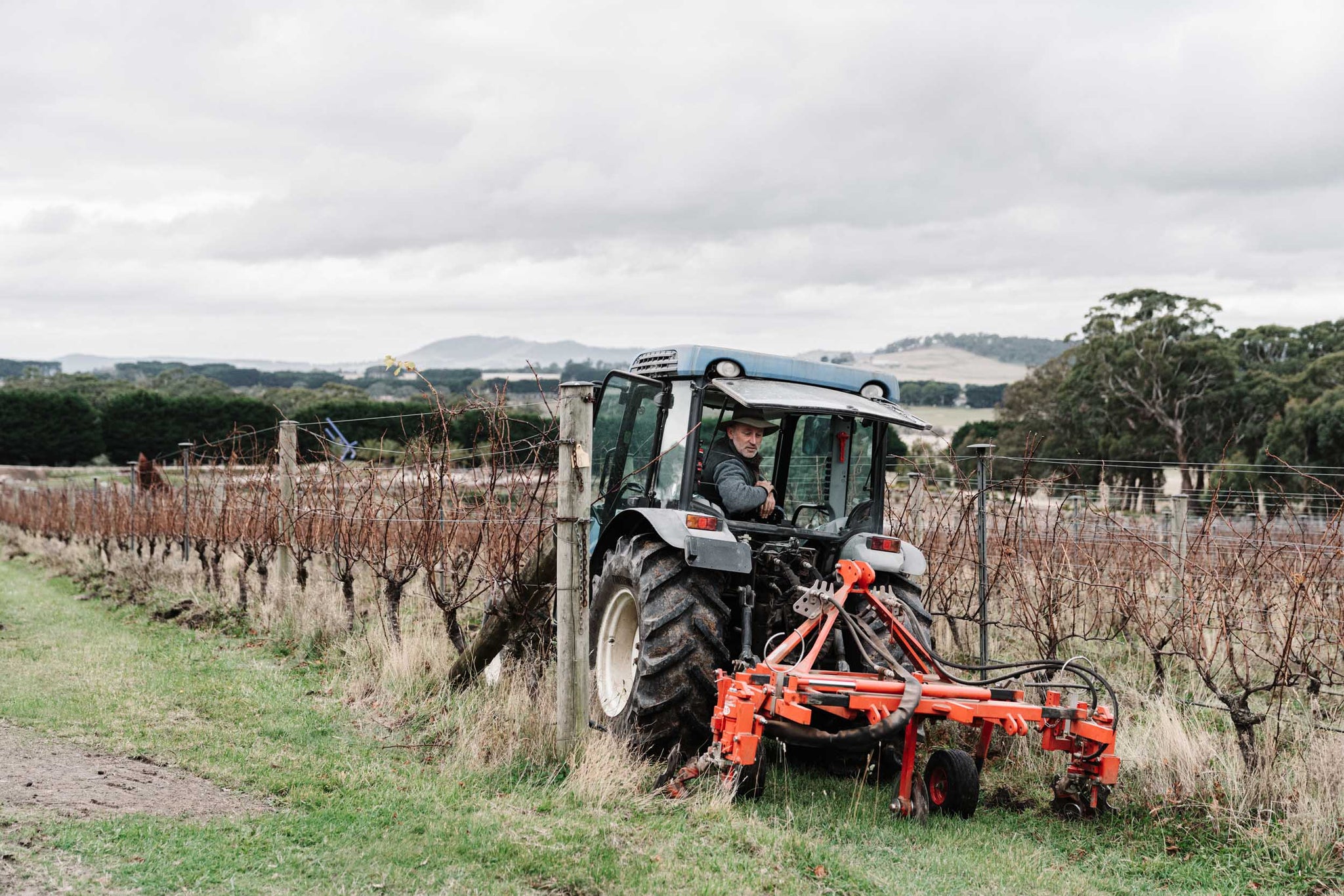 Macedon Ranges Red Macedon Ranges Produce