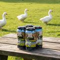 4 pack of West Coast IPA from Rock and Ranges in the Macedon Ranges