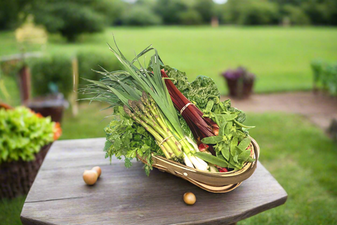 a basket of fresh vegetables picked in the Macedon Ranges on a table in the garden